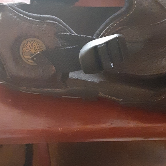 Scandals - Picture 10 of 16